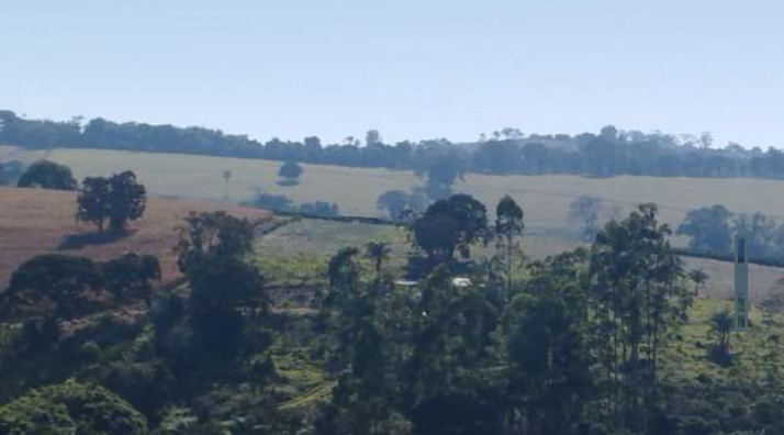Gleba no Zona Rural (foto 3 de 3)