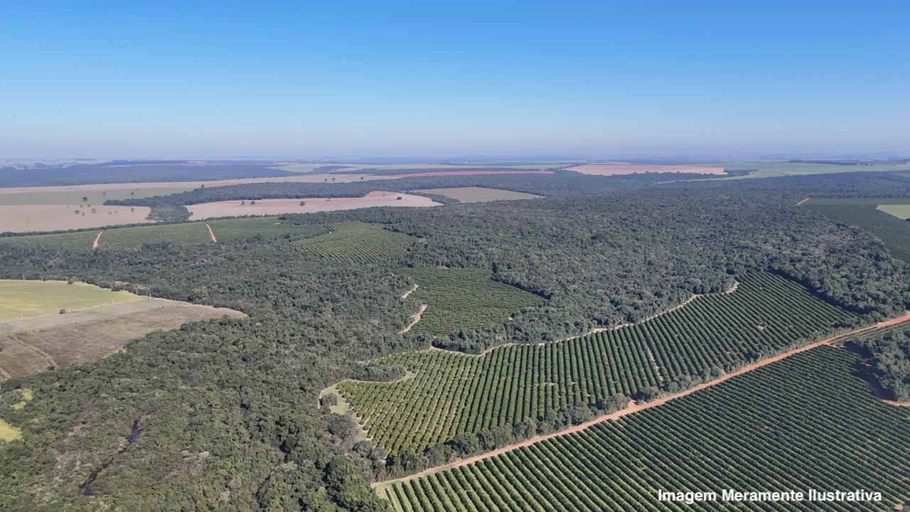 Fazenda de 819ha em Ubirajara/SP