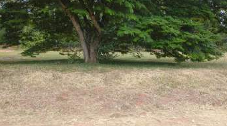 Lote de terreno de 600m² em Águas de Santa Bárbara/SP